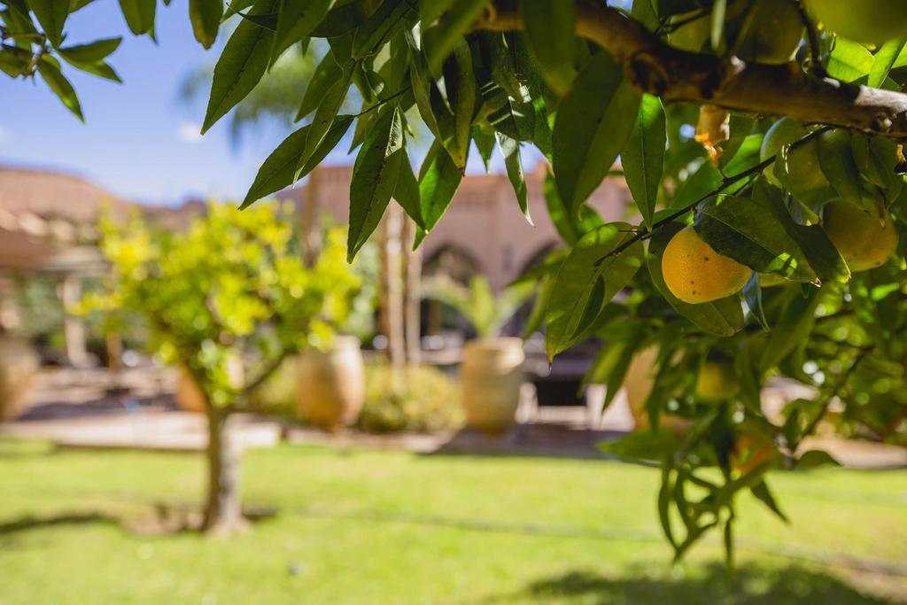 Ksar Ighnda Hotel Аит Бен Хаду Екстериор снимка